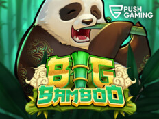 Big dollar casino bonus49